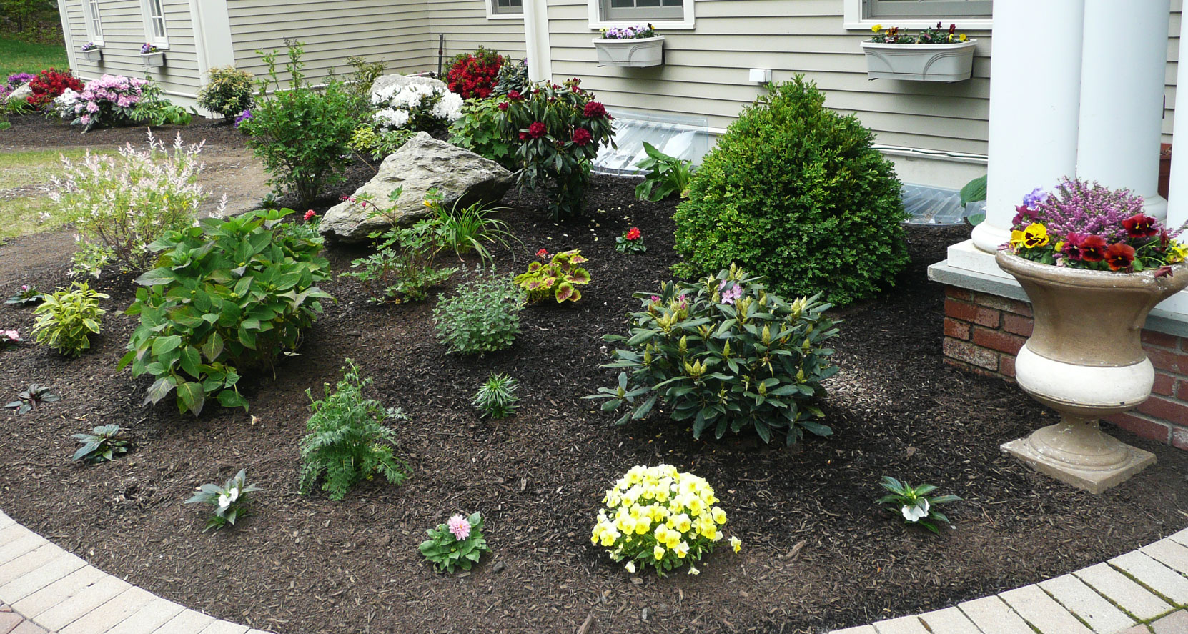 lorem ipsum dolor sit